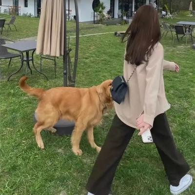 渔枪